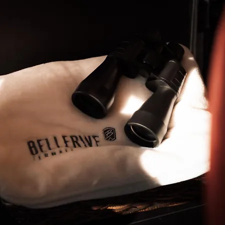Hotel Bellerive Zermatt